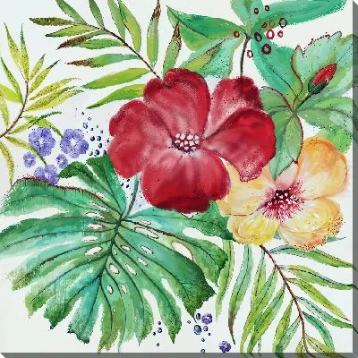 Гибискус и листья №13