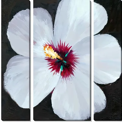Модульная картина Пятилистный гибискус