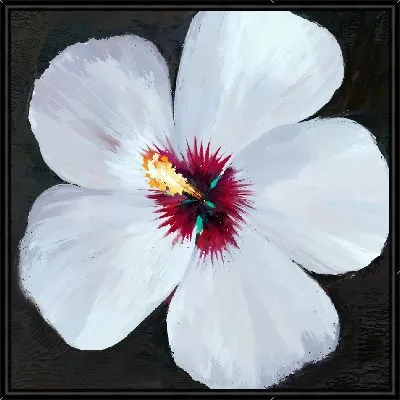 Картина Пятилистный гибискус