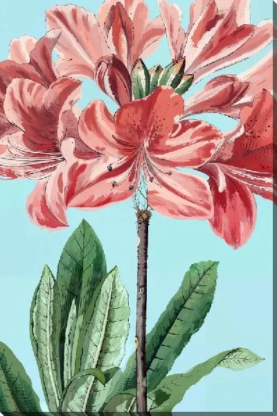 Постер Гибискус на стебле