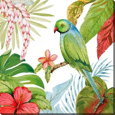 Постер Зеленый попугай и гибискусы