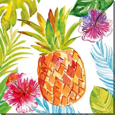 Ананас и гибискусы