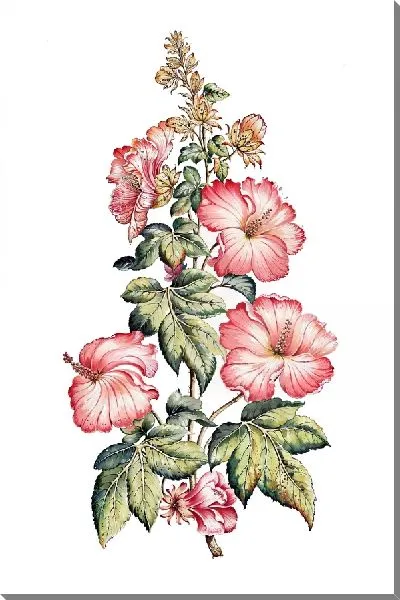 Картина маслом Композиция с гибискусами №3