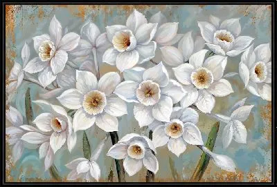 Белые нарциссы