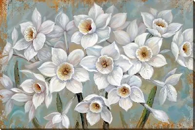 Белые нарциссы