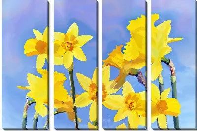 Желтые нарциссы на голубом фоне