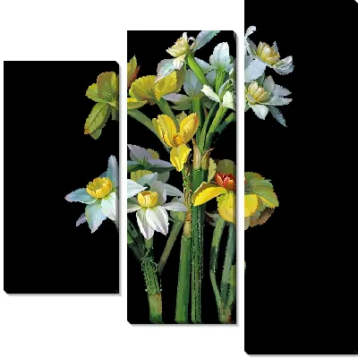 Модульная картина Нарциссы на темном фоне