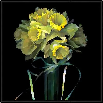 Желтые нарциссы на черном фоне