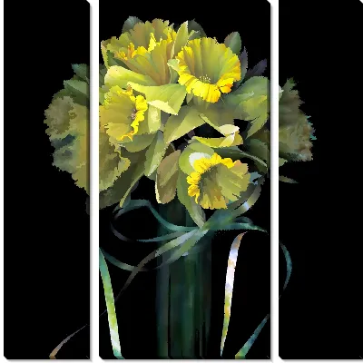 Желтые нарциссы на черном фоне