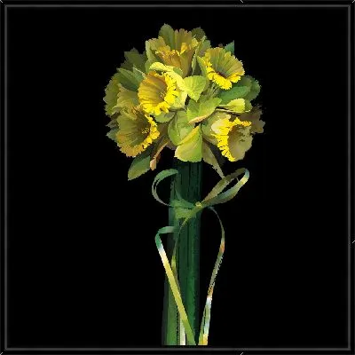 Картина Желтые нарциссы на черном фоне №2