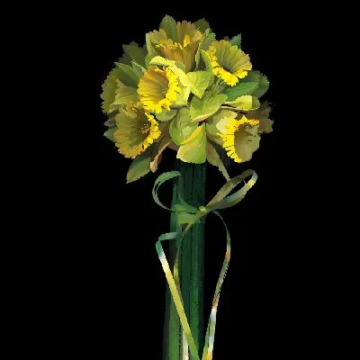 Плакат Желтые нарциссы на черном фоне №2