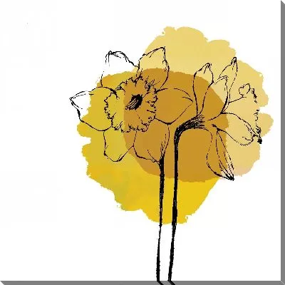 Постер Графические нарциссы