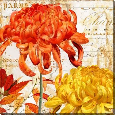 Картина маслом Алая и желтая хризантемы