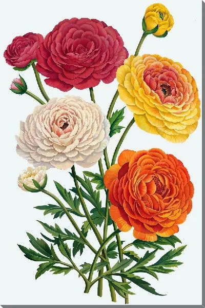 Картина маслом Букет хризантем №3