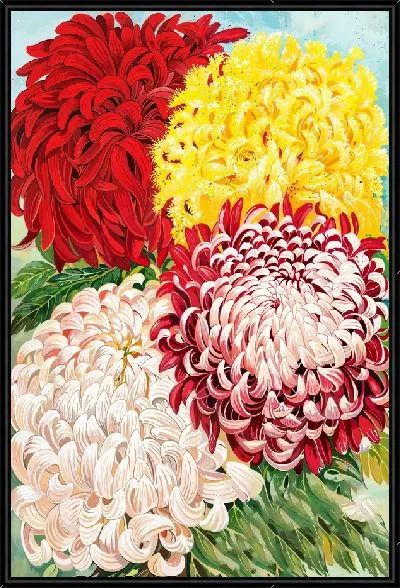Картина 4 хризантемы