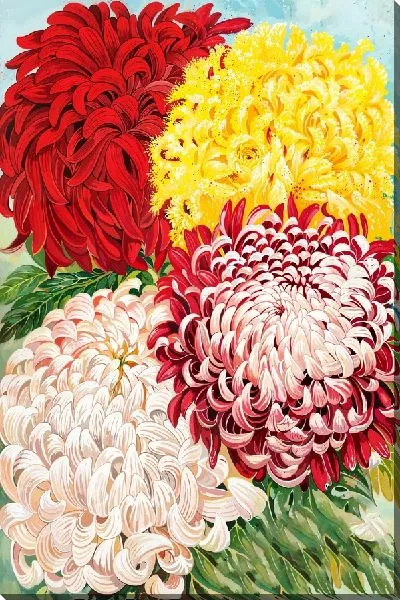 Картина маслом 4 хризантемы