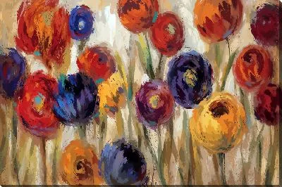 Поле с хризантемами