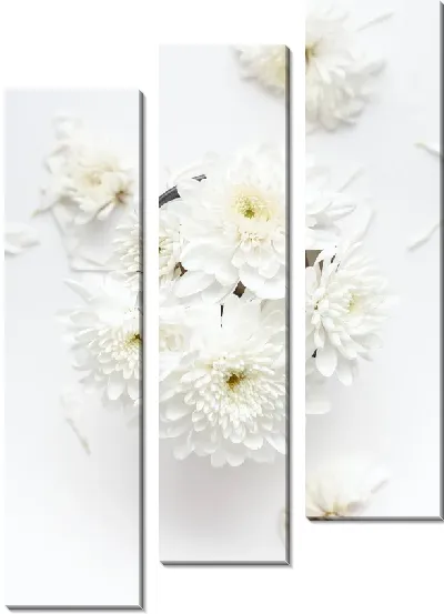 Модульная картина Белые хризантемы