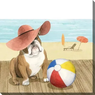 Бульдог в шляпе на отдыхе