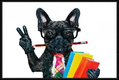 Картина Бульдог-педагог