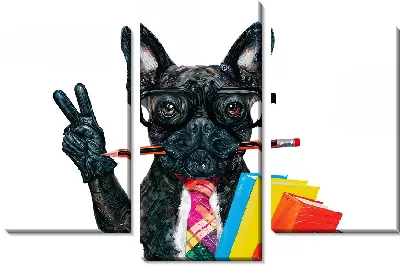 Бульдог-педагог