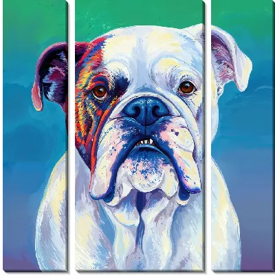 Модульная картина Белый бульдог