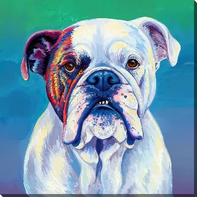 Картина маслом Белый бульдог