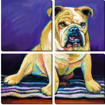Модульная картина Бульдог №1