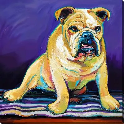 Картина маслом Бульдог №1