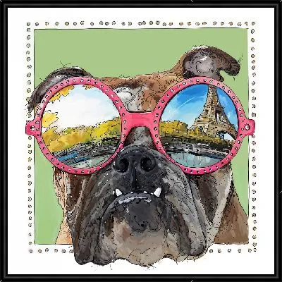 Парижский бульдог в очках