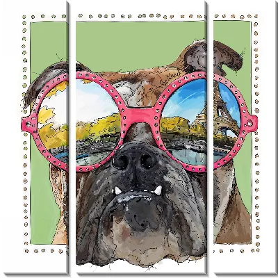 Парижский бульдог в очках