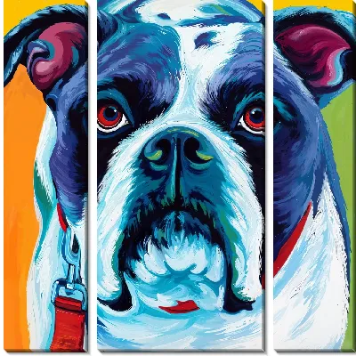 Модульная картина Бульдог №6