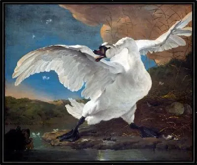 Лебедь (Swan)