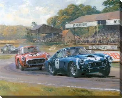 Картина Скоростные гонки