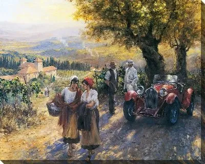 Ретро автомобиль на винограднике