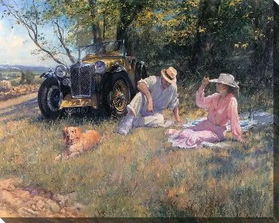 Летний отдых на поляне 