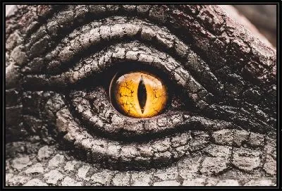 Глаз динозавра