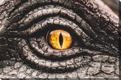 Глаз динозавра