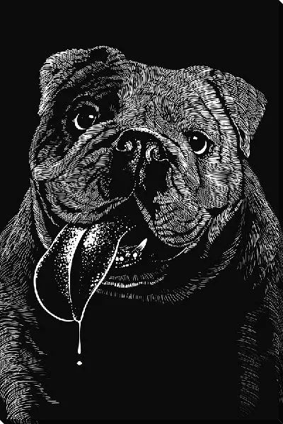 Постер Бульдог с языком