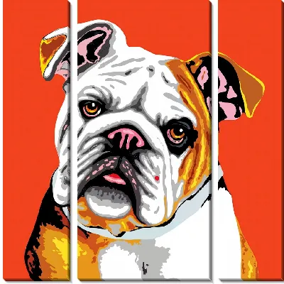 Модульная картина Поп арт бульдог №5