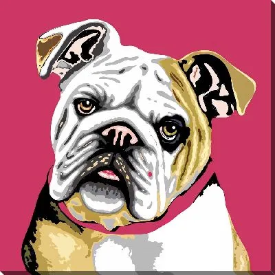 Поп арт бульдог №6