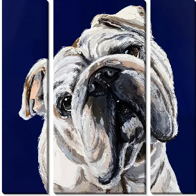 Модульная картина Бульдог №52