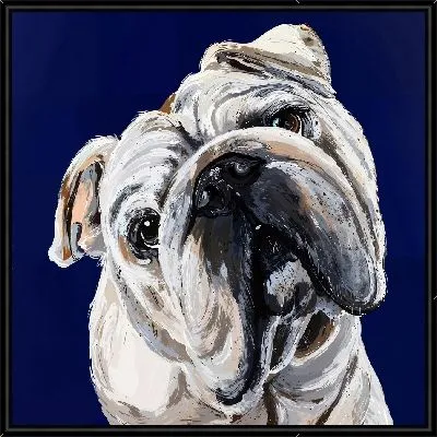 Картина Бульдог №52