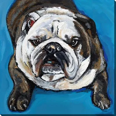 Картина маслом Бульдог №53