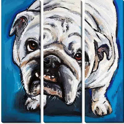 Модульная картина Бульдог №54