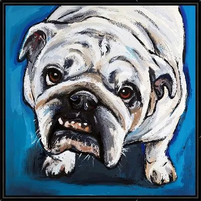 Картина Бульдог №54