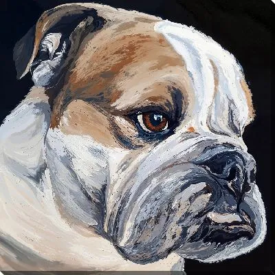 Картина маслом Бульдог №56