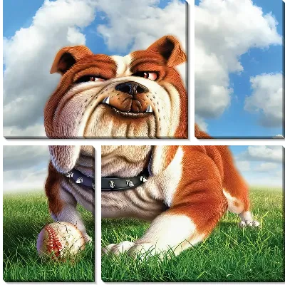 Модульная картина Спортивный бульдог