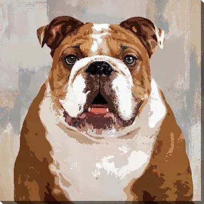 Постер Бульдог №57