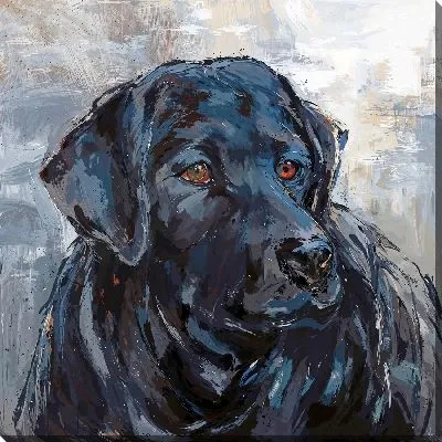 Постер Лабрадор ретривер №44